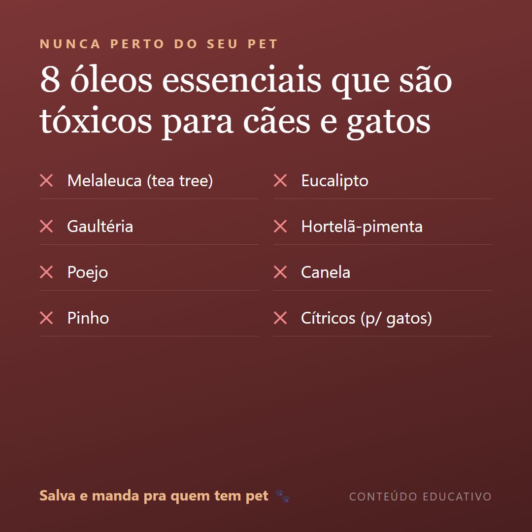 Arte de feed: 8 óleos tóxicos